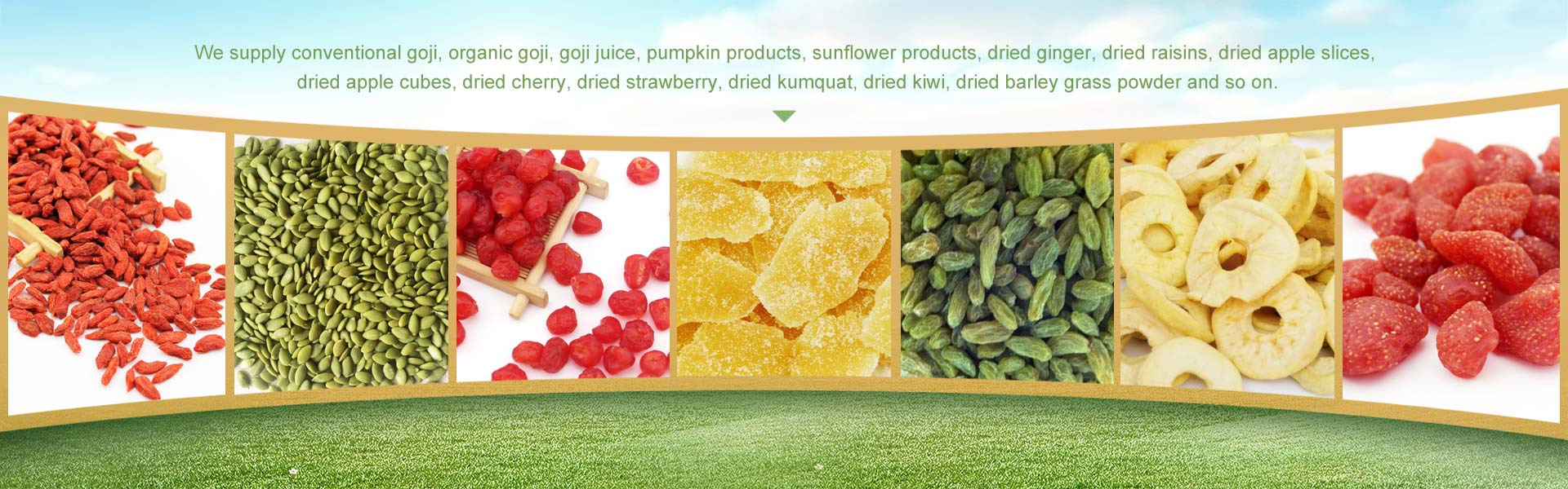 GOJI BERRY,QINGDAO PERFECT IMPORT&EXPORT CO., LTD.